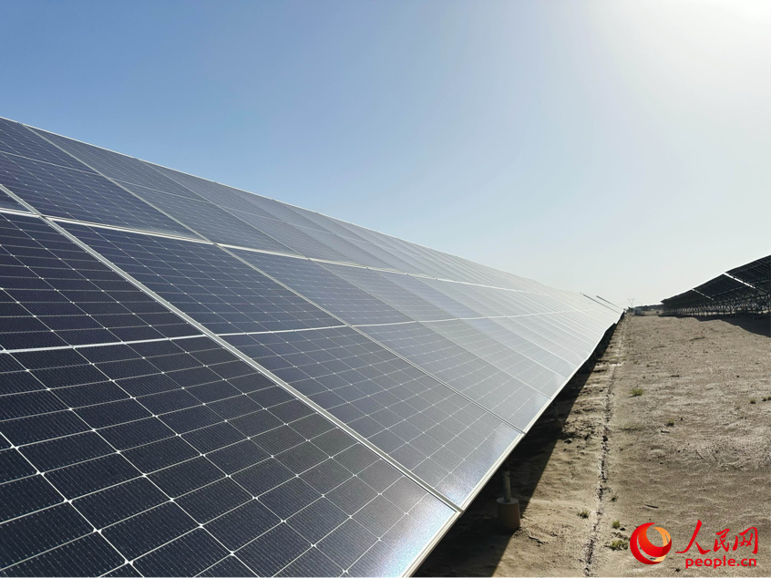 光伏板。人民網記者 楊睿攝
