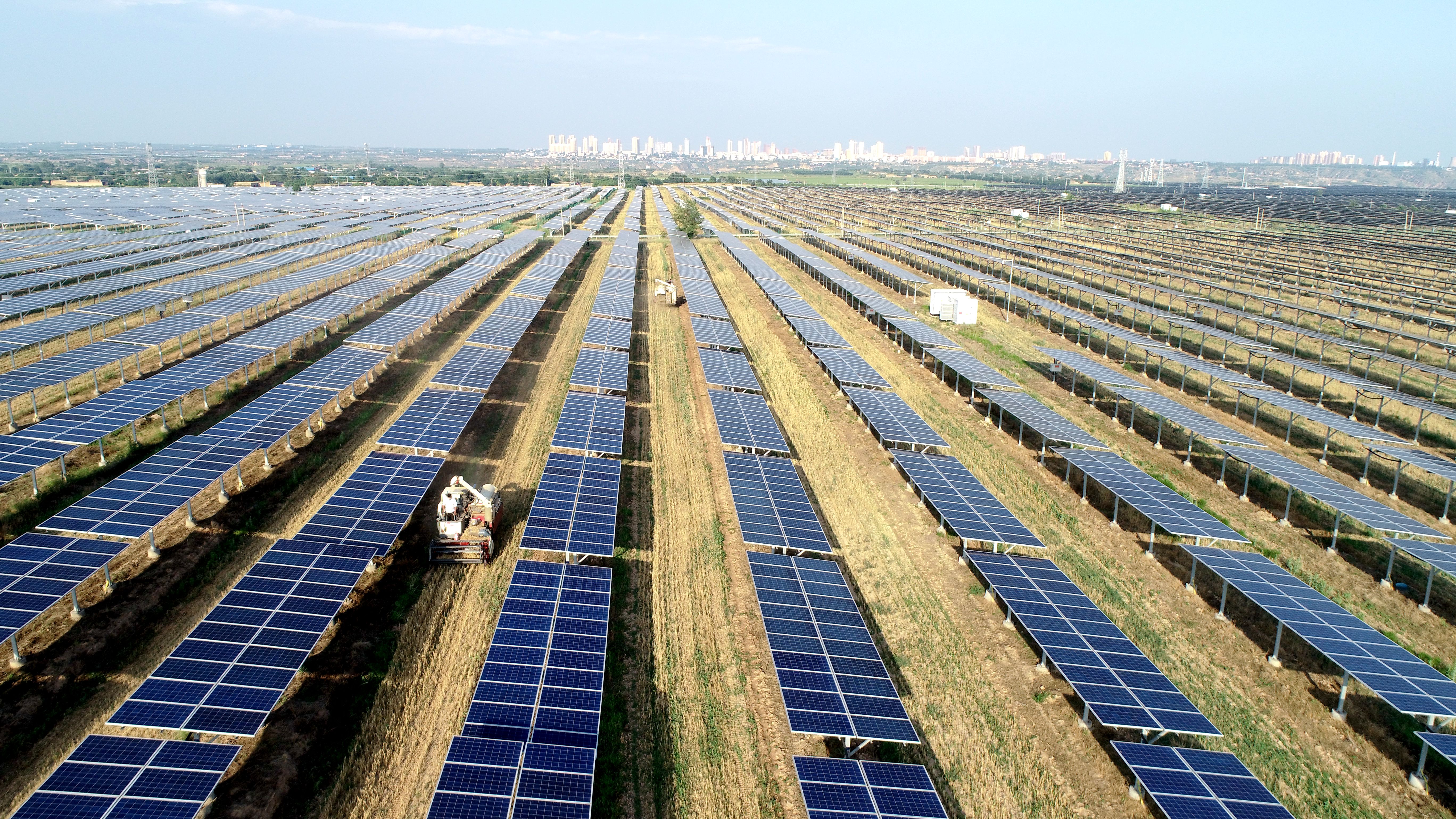 2.大唐澄城安里10萬千瓦農光互補光伏電站采取“農光互補”模式，不僅大大提高土地綜合利用率，還帶動當?shù)卮迕裨诩议T口就業(yè)，促進農民增收。任永紅攝 .jpg