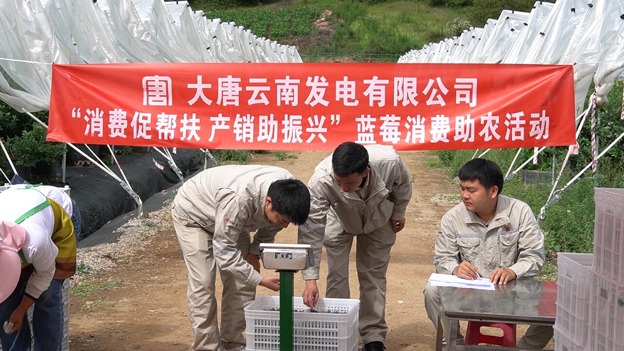 1719296623634080210.jpg 39N6N_RK8AM1WKFS}46L~35.jpg