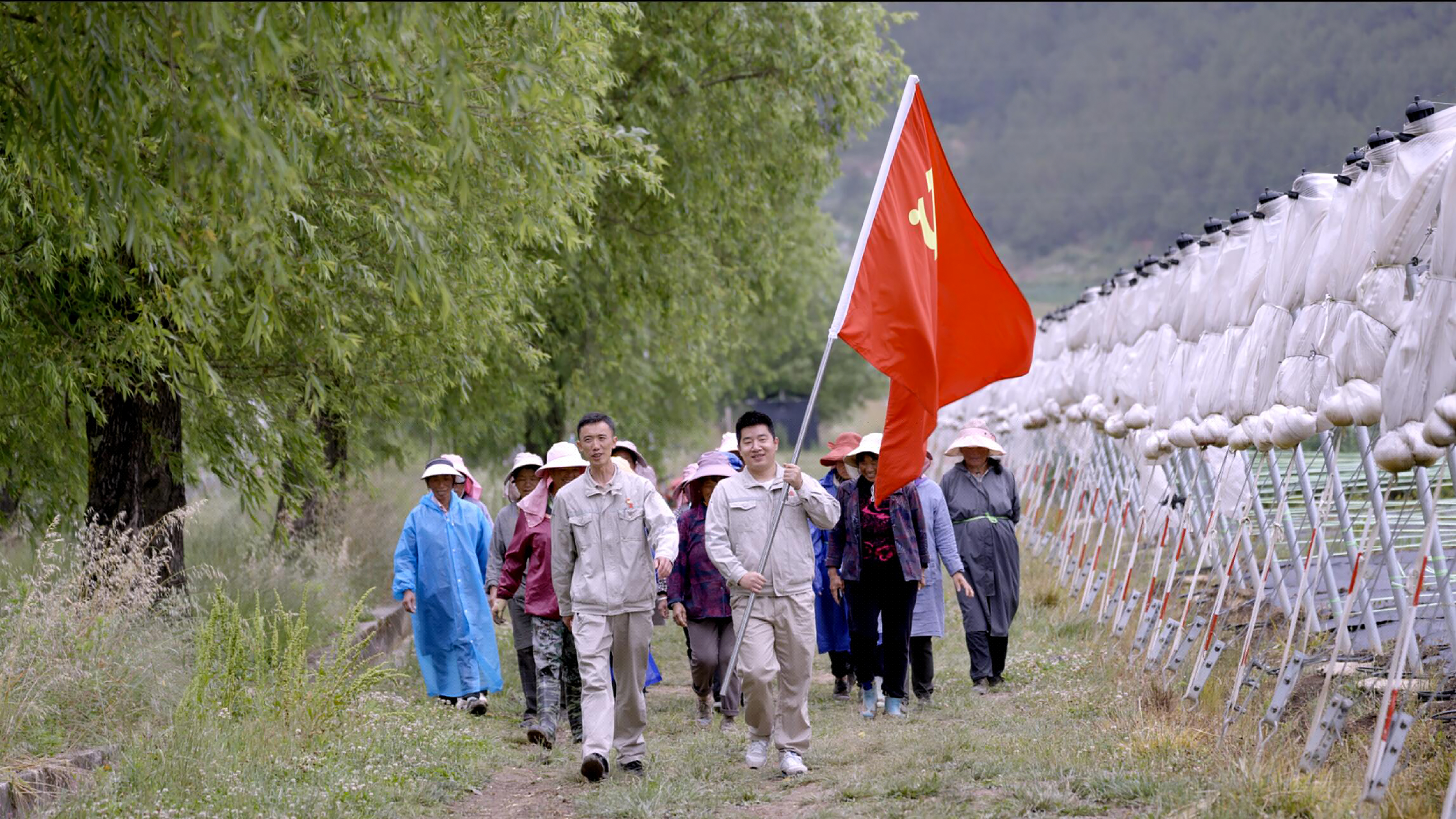 1726124205443013912.jpg 黨建幫扶.jpg